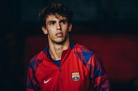 这款曾冲进畅销榜TOP6的字节产品，今日“重生”了